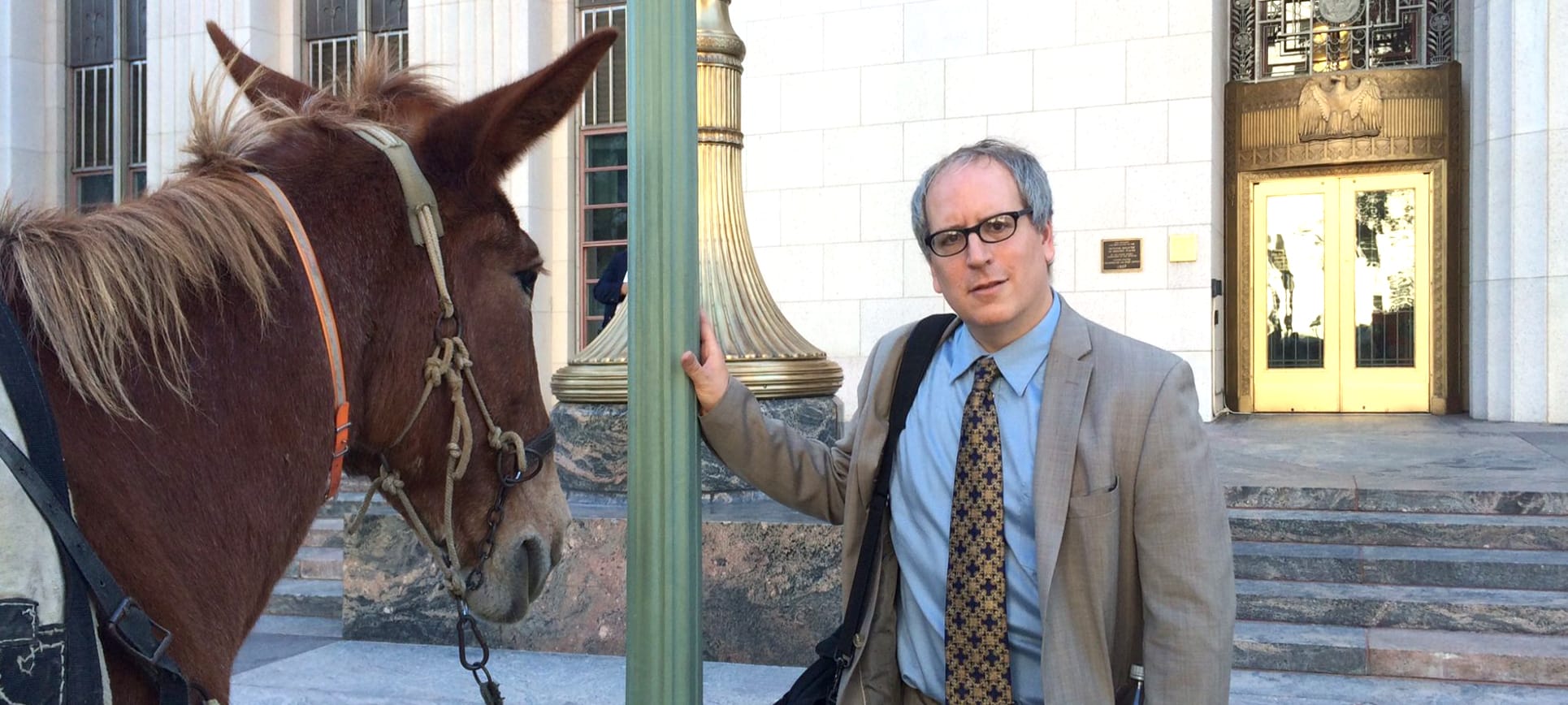 Vote for Dan Kapelovitz